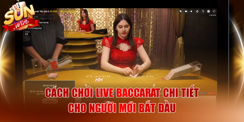 Cách Chơi Live Baccarat Chi Tiết Cho Người Mới Bắt Đầu